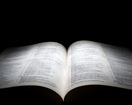 Bibelvejviser og læseplan